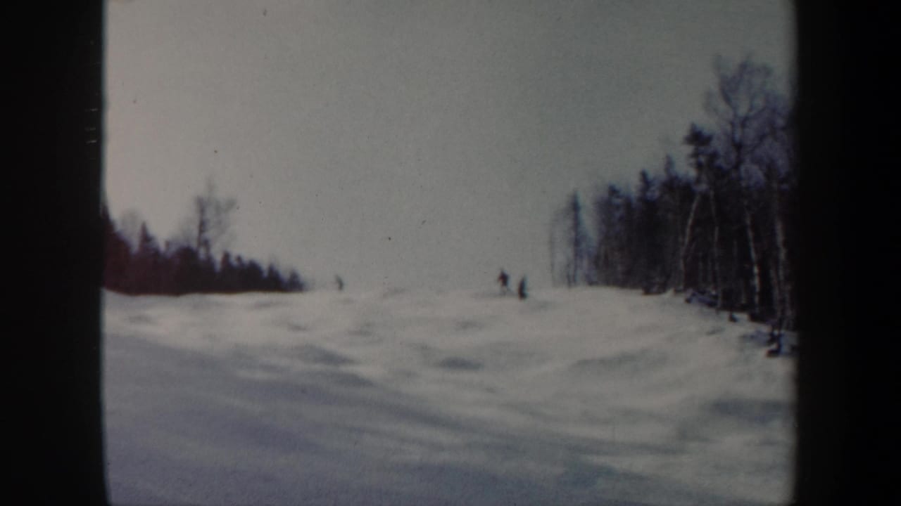 Distant skiers descend a snowy mogul slope bordered by bare trees.