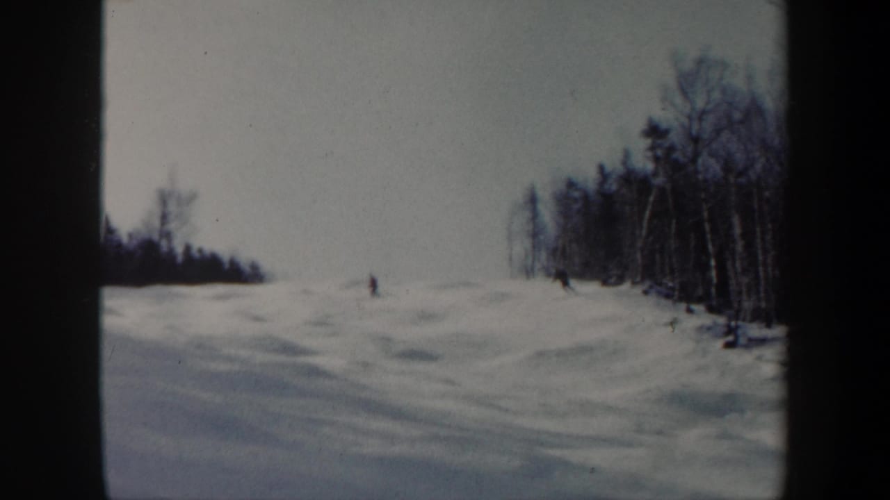Small skiers cross a snowy slope with leafless trees at the right edge.