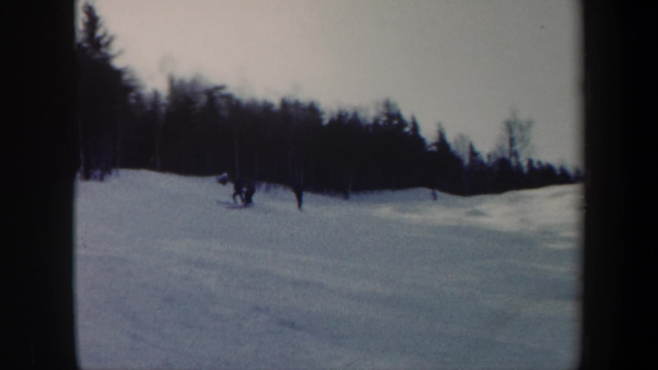 Small figures ski across snow with forest in the background.