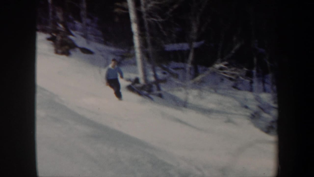 Skier moving along a snowy hillside near leafless trees.