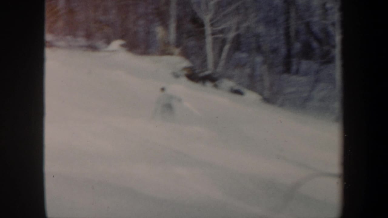 Distant skier on a snowy hillside beside bare winter trees.