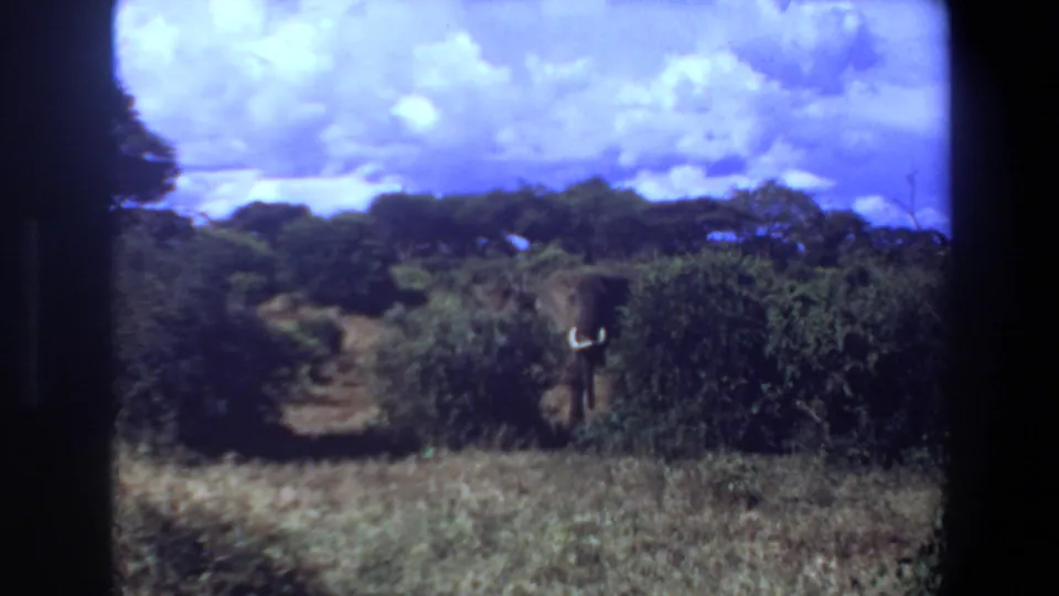 1969 Angola 8mm frame of a distant tusked elephant in bushland beneath a clouded sky.