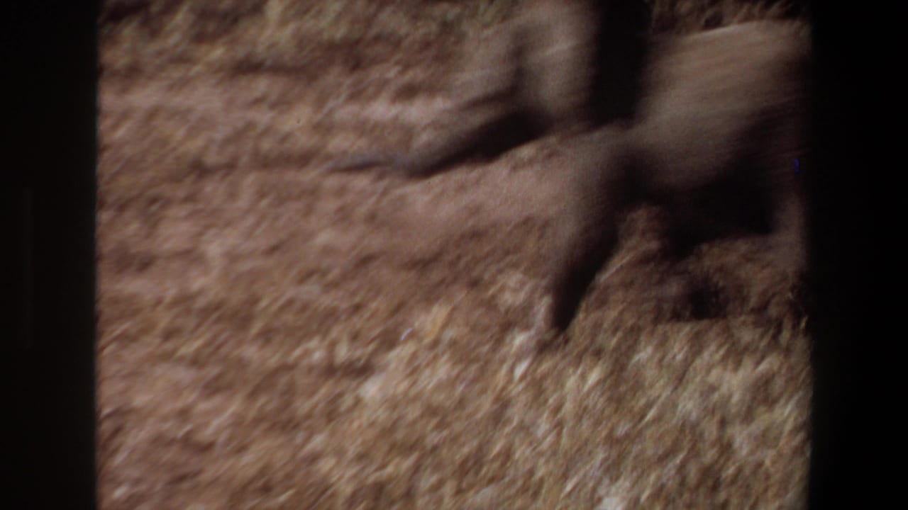 Young elephant calf runs across open brown ground in the 1969 Angola wildlife home-movie footage.