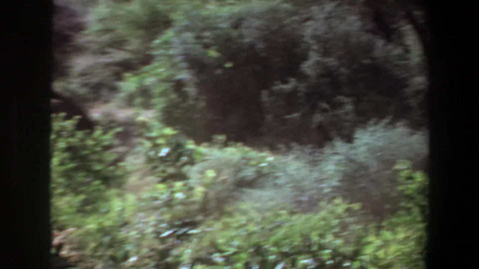 1969 Angola 8mm frame with motion-blurred savanna vegetation and a partial elephant form disappearing at the left edge.