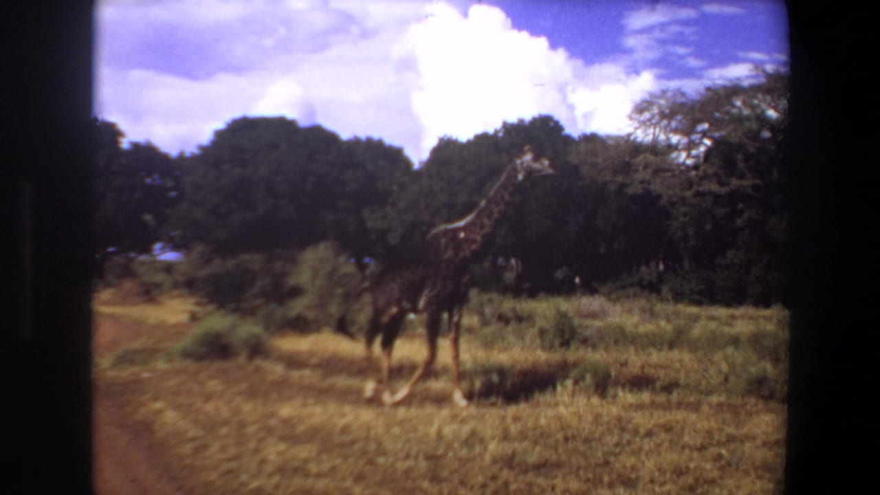 1969 Angola 8mm frame of a giraffe crossing a grassy plain with trees and bright clouds in the background.