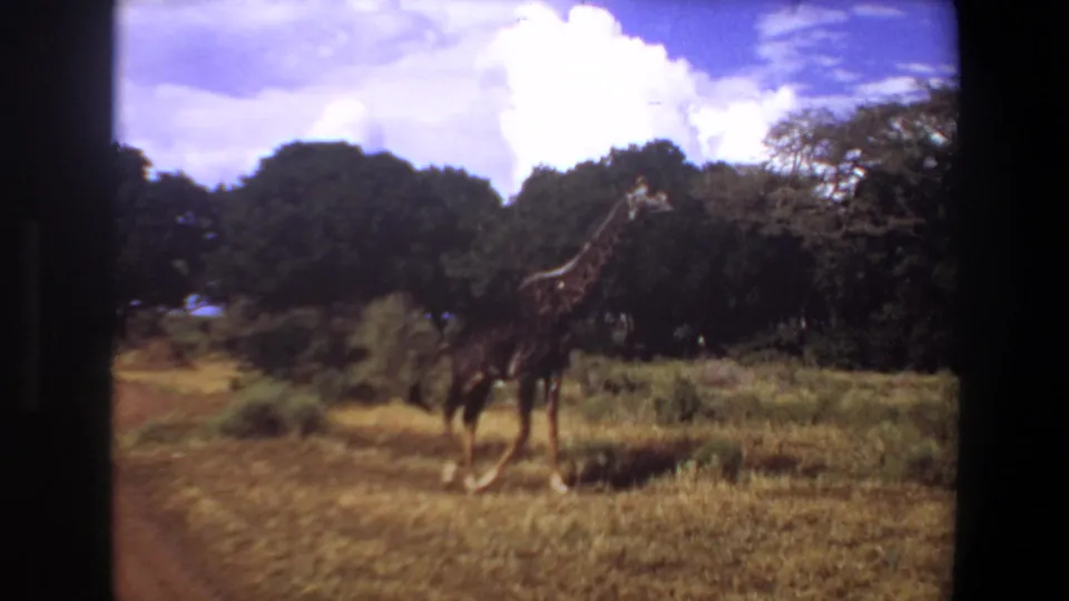 1969 Angola 8mm frame of a giraffe crossing a grassy plain with trees and bright clouds in the background.