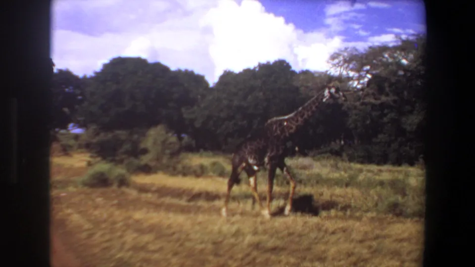 1969 Angola 8mm frame showing a giraffe in a grassy savanna setting with trees, clouds, and a visible dark film edge.