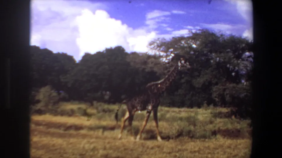 1969 Angola 8mm frame of a giraffe crossing a grassy field, framed by trees, bright clouds, and rounded film borders.