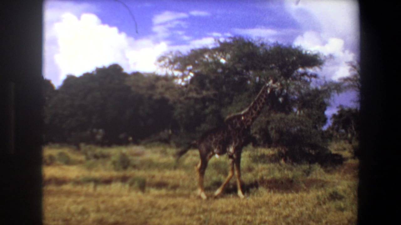 Giraffe crossing grassland beside a broad tree with clouds overhead.