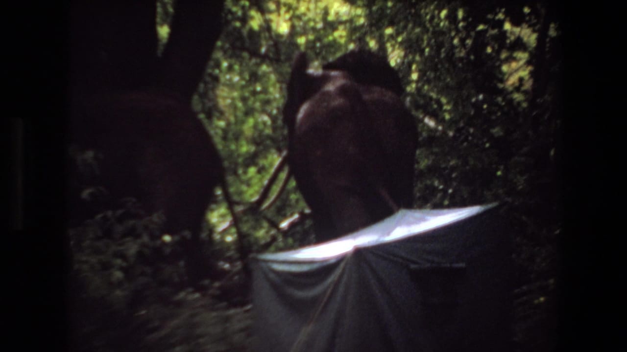 1969 Angola safari frame with elephants partly obscured by trees and shadow behind a pale camp covering.