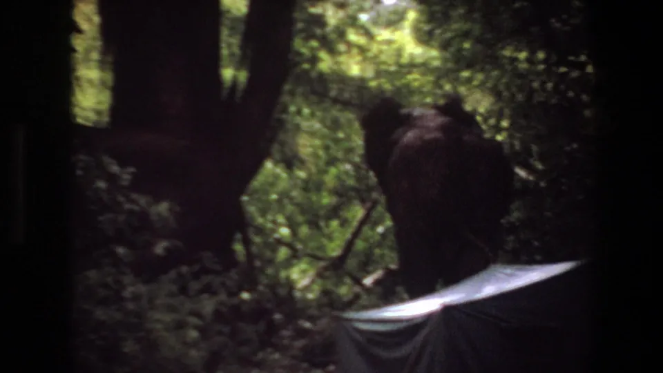 1969 Angola 8mm wildlife frame showing a close elephant form in shadow near jungle plants and a pale tarp edge.