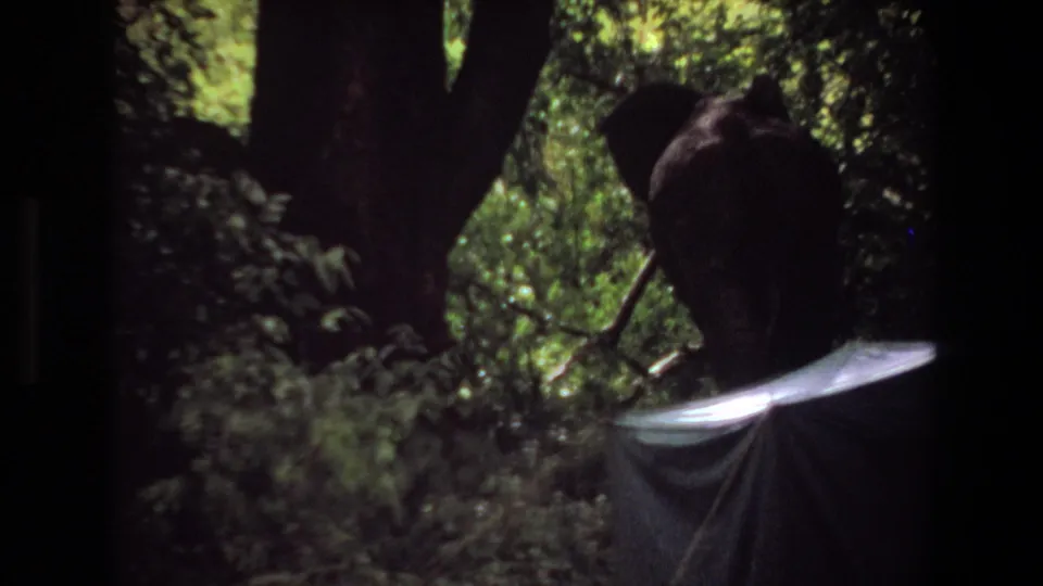 1969 Angola home-movie frame with an elephant partly hidden by jungle vegetation near a pale camp shelter.