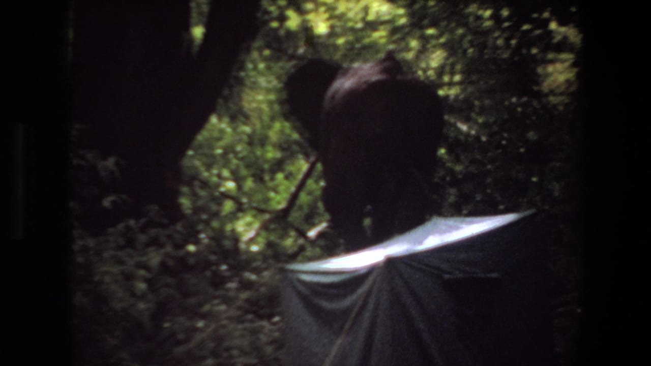 1969 Angola 8mm frame showing elephants moving behind tree trunks near a pale canvas tent in dense forest.