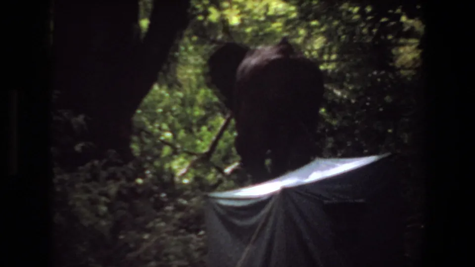 1969 Angola 8mm frame showing elephants moving behind tree trunks near a pale canvas tent in dense forest.