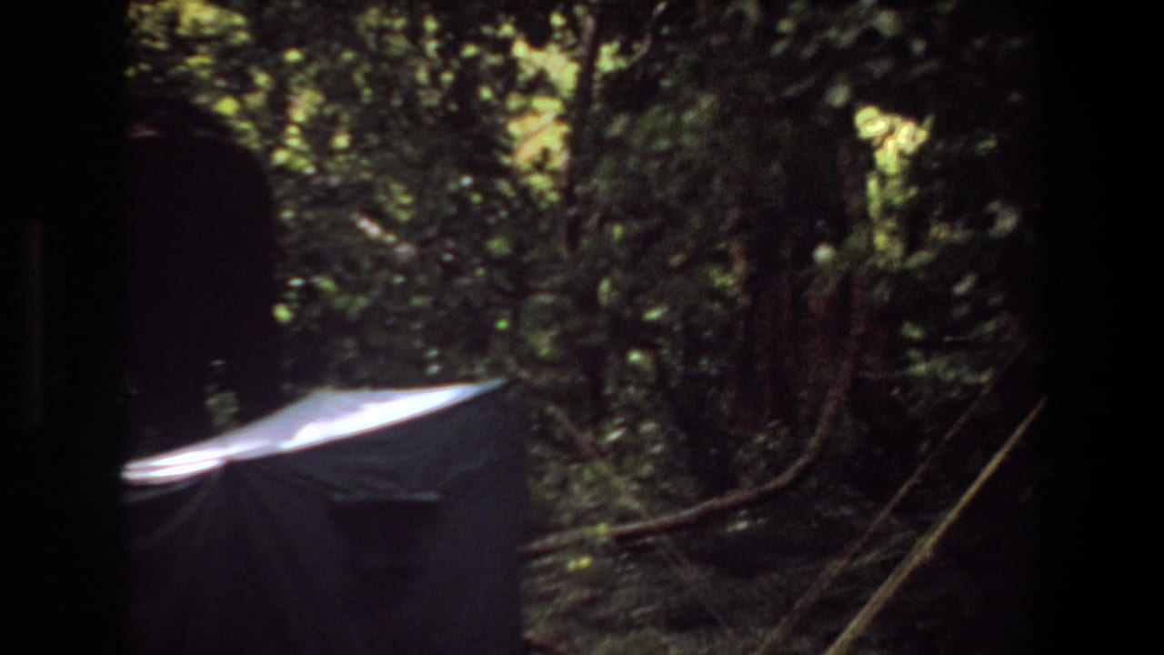 Elephant silhouettes move through dense trees behind a pale canvas tent.