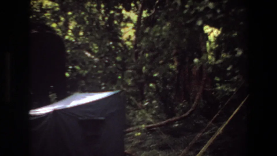 1969 Angola home-movie frame with elephant forms partly obscured by trees and a tent roof catching light.
