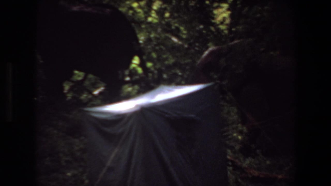 1969 Angola 8mm frame showing a shadowed elephant near a light fabric tent under dense foliage.