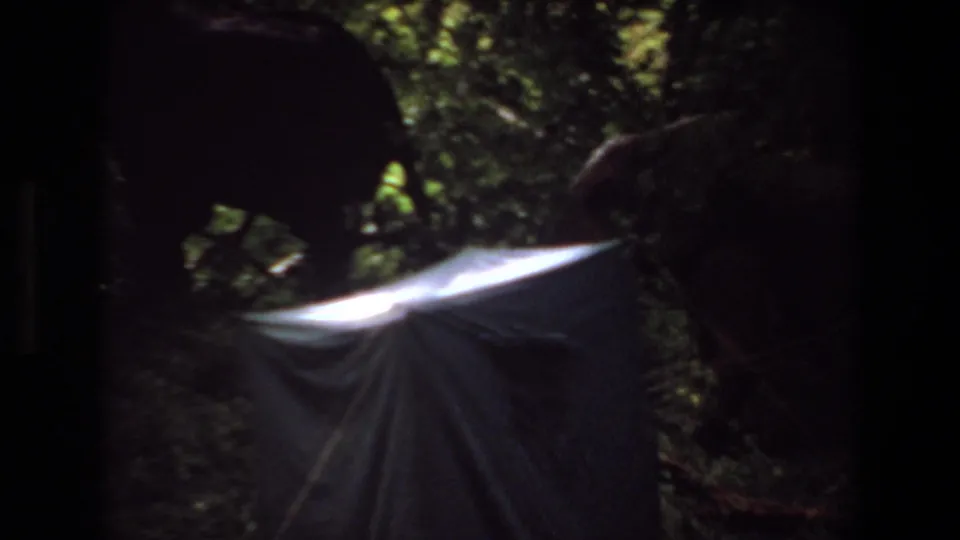 1969 Angola 8mm frame showing a shadowed elephant near a light fabric tent under dense foliage.