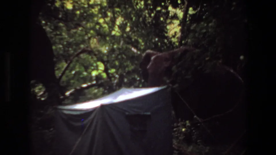 1969 Angola 8mm frame showing the elephant close to the tent as rope lines cross the shaded foreground.