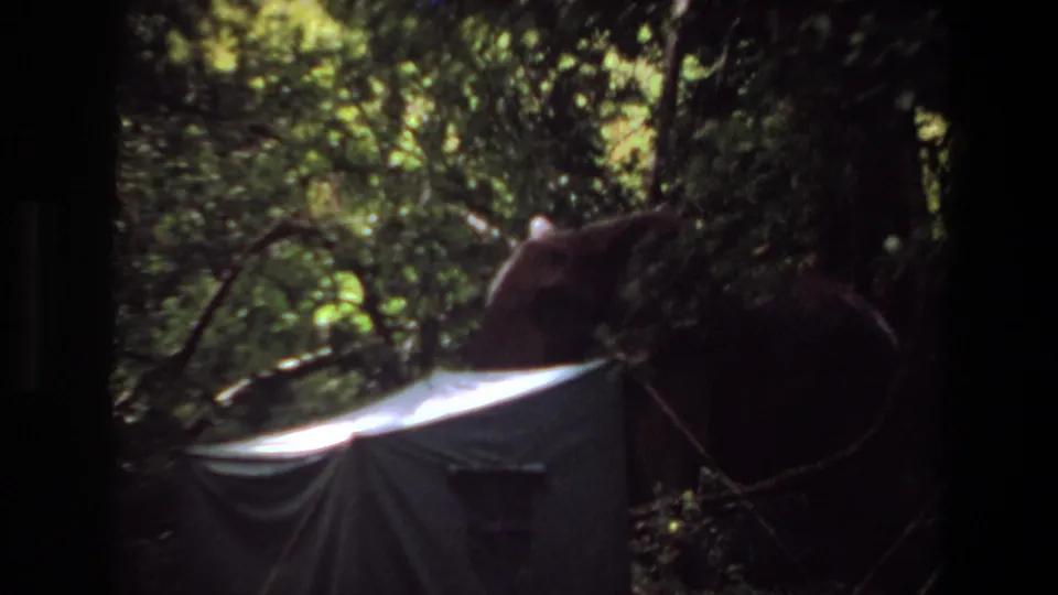 1969 Angola frame with the elephant's head near the bright tent roof, surrounded by dense forest growth.