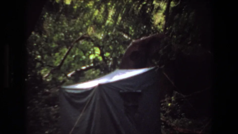 1969 Angola home-movie frame of a canvas-like tent beneath a dense green canopy, filmed from a shaded forest viewpoint.