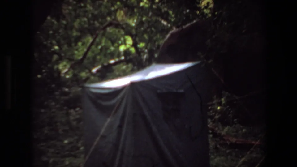 1969 Angola 8mm frame with a pale campsite tent framed by foliage, dark branches, and uneven forest light.