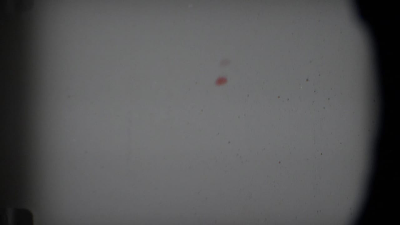 Pale blank Super 8 frame with dark rounded edges, dust, and a small red mark.