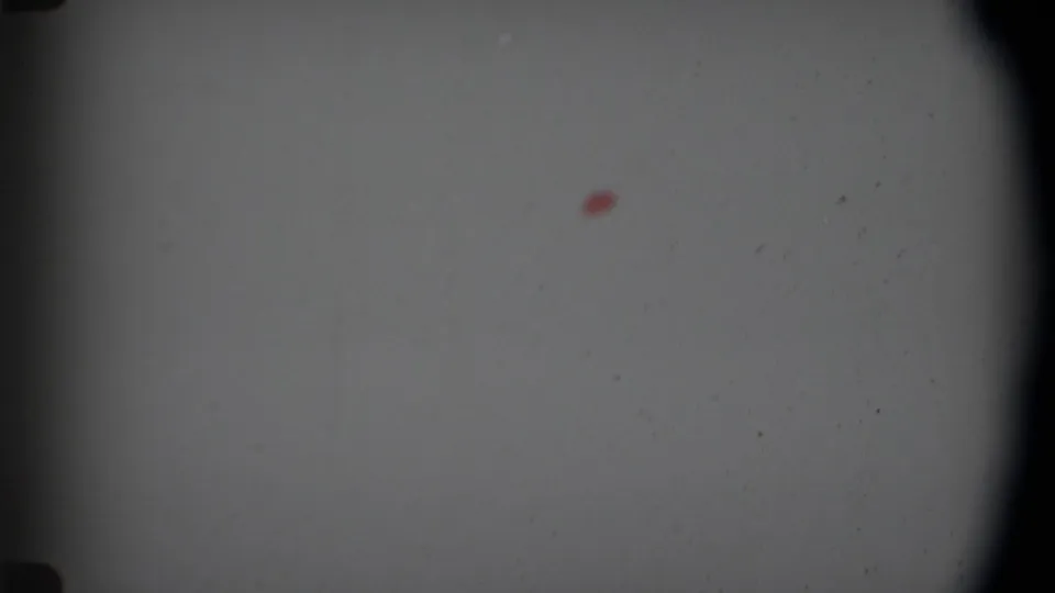 1969 Angola Super 8 roll-end frame with rounded dark edge vignetting, pale blank film, dust specks, and a small red mark.