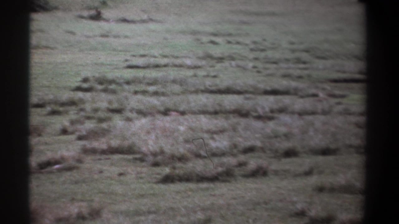 1969 Kenya 8mm frame showing an open grass field with distant texture and heavy black film borders.