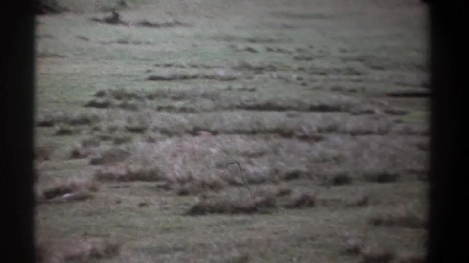 1969 Kenya 8mm frame showing an open grass field with distant texture and heavy black film borders.