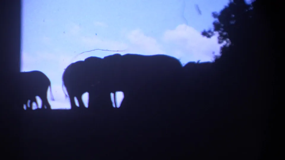 1969 Kenya frame showing elephant silhouettes along a ridge or shaded foreground against a bright blue sky.