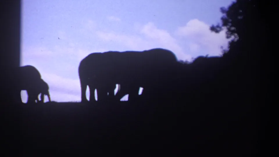 1969 Kenya 8mm frame showing a large elephant and smaller elephant silhouetted on a hillside against blue sky and clouds.