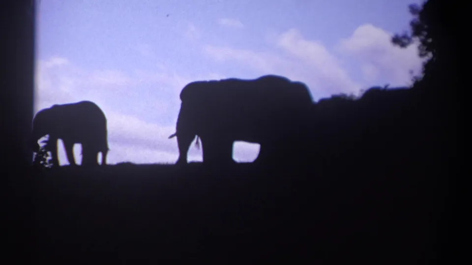 1969 Kenya 8mm still showing two elephant silhouettes separated on a dark hillside under blue sky and clouds.