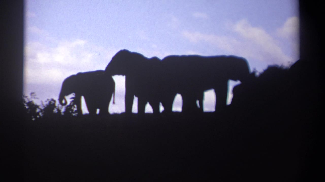 1969 Kenya 8mm frame showing silhouetted elephants on a ridge, with a smaller animal at left and clouds behind them.