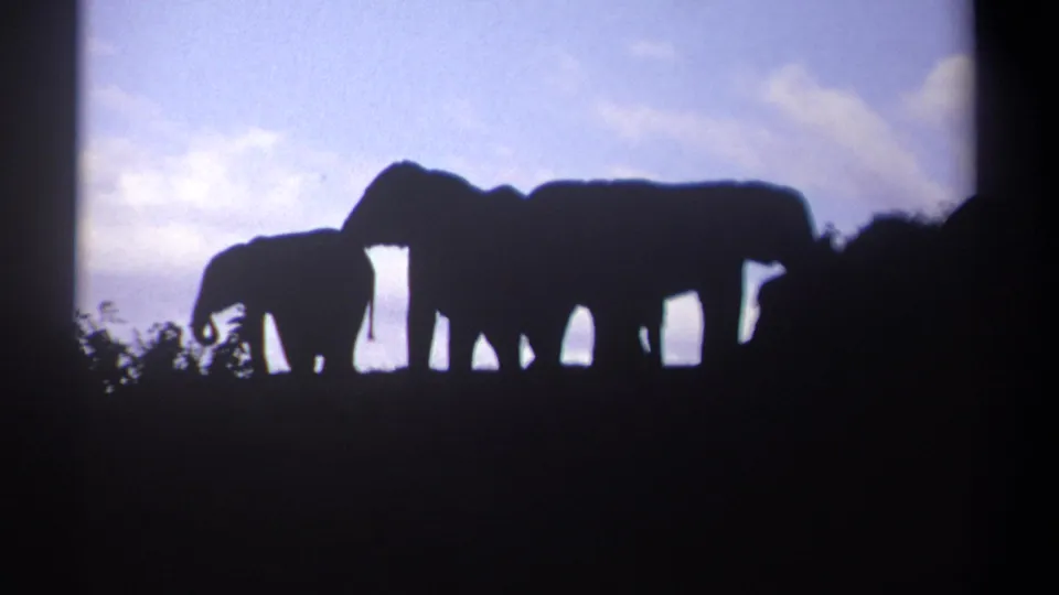 1969 Kenya 8mm frame showing silhouetted elephants on a ridge, with a smaller animal at left and clouds behind them.