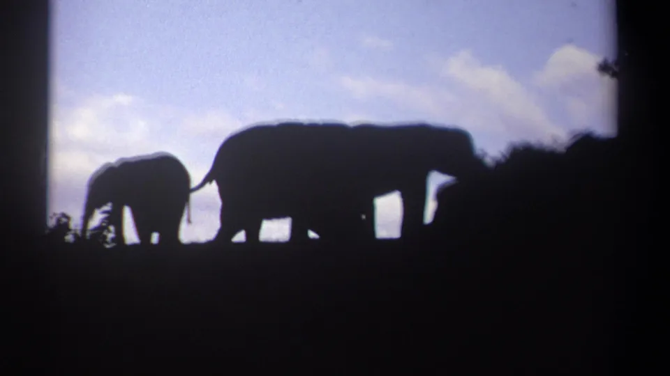 1969 Kenya 8mm frame showing two elephant silhouettes, one smaller and one larger, crossing a ridge against a bright sky.