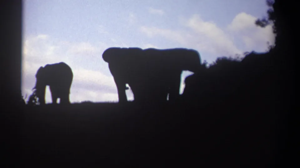 1969 Kenya 8mm frame of elephant silhouettes spread across a ridge, backed by pale sky and soft clouds.