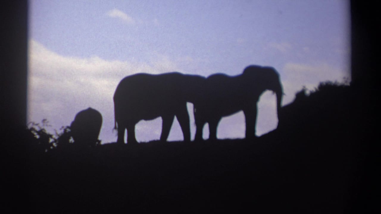 Kenya 1969 8mm frame showing three African elephants in dark silhouette on a ridge against blue sky and clouds.