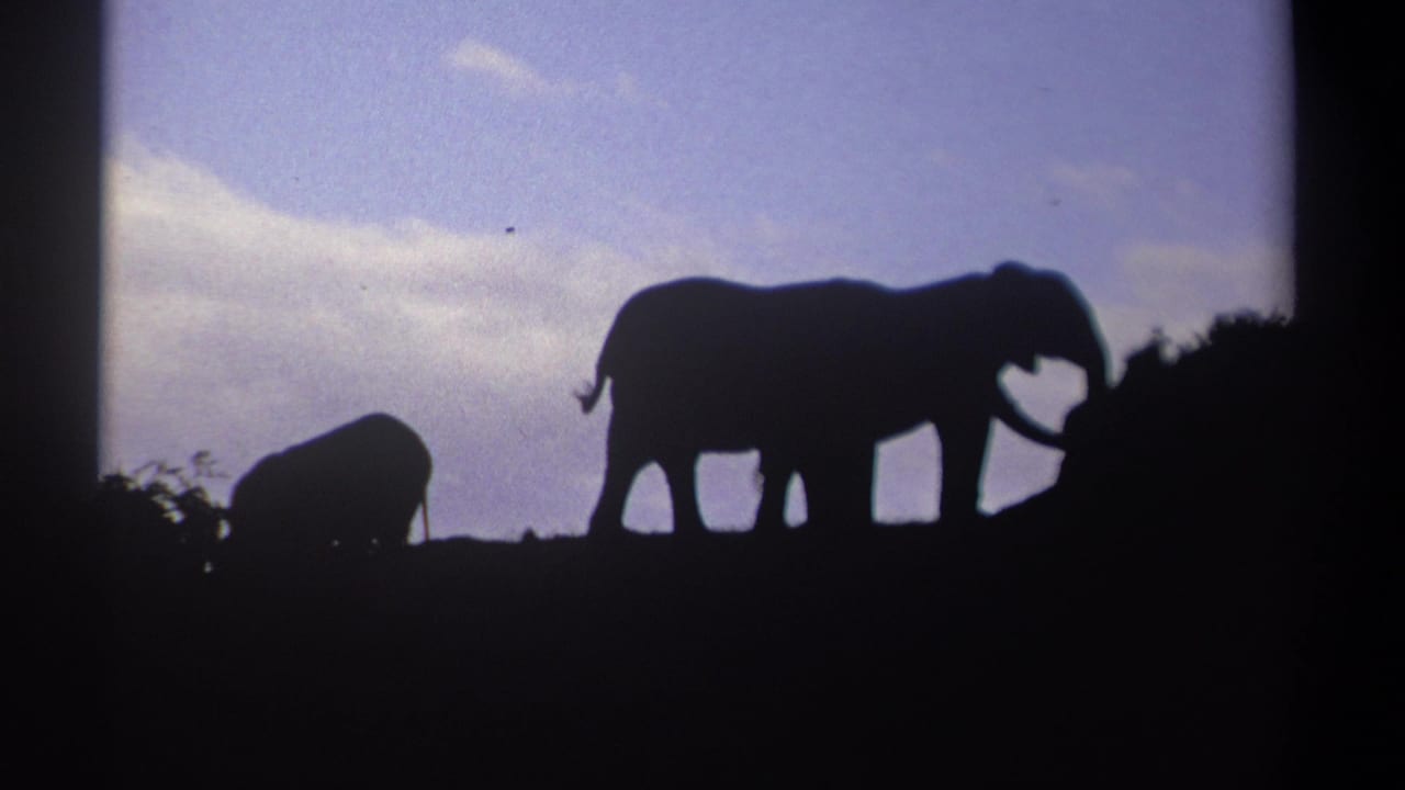 1969 Kenya 8mm frame showing two elephants in dark silhouette on a ridge against a pale blue and white sky.