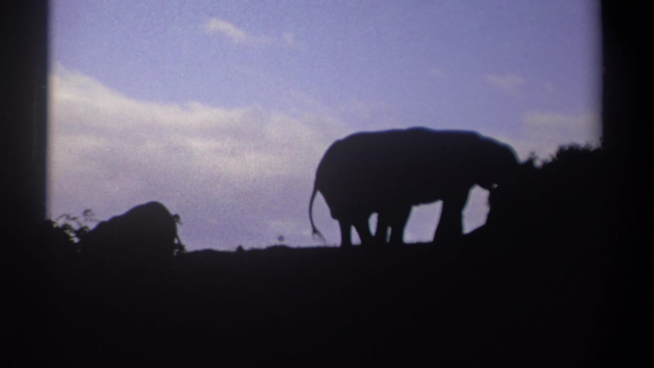 Silhouetted elephant on a hilltop beneath a pale blue-purple sky.