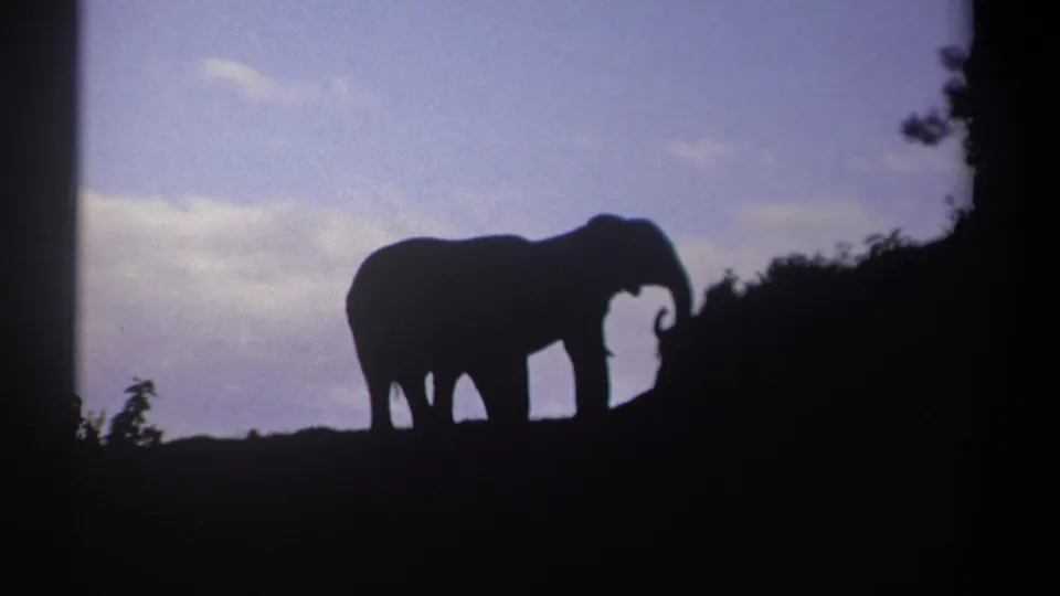A single elephant silhouette stands on the ridge in 1969 Kenya footage, trunk curled against the blue dusk sky.