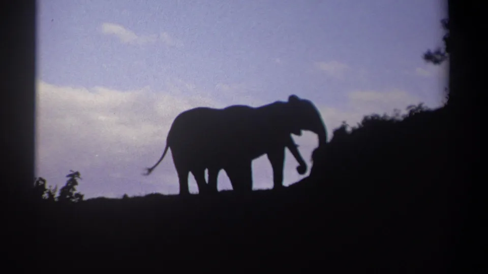 1969 Kenya 8mm frame showing two elephants in silhouette on a hillside against a purple-blue sky.