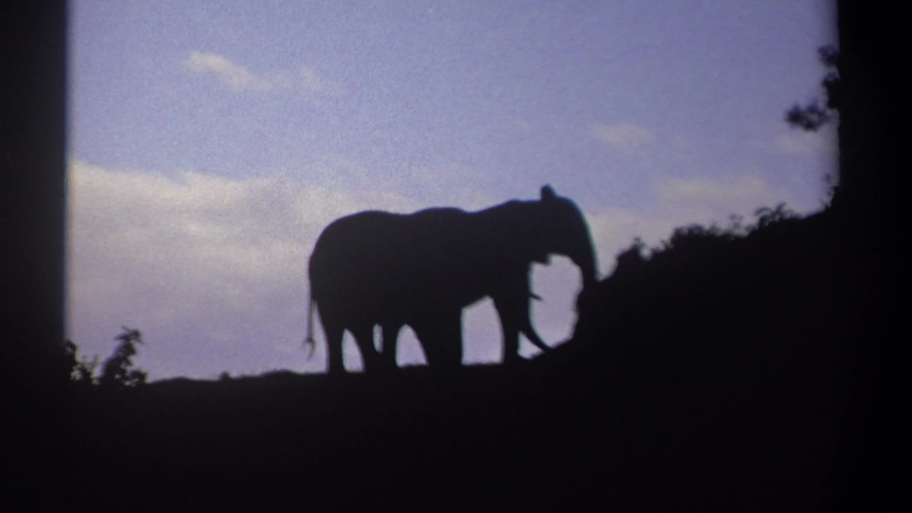 1969 Kenya 8mm frame showing two elephants silhouetted on a ridge against a purple-blue sky and pale clouds.