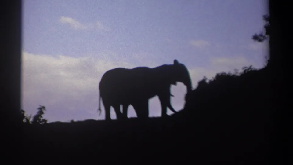1969 Kenya 8mm frame showing two elephants silhouetted on a ridge against a purple-blue sky and pale clouds.