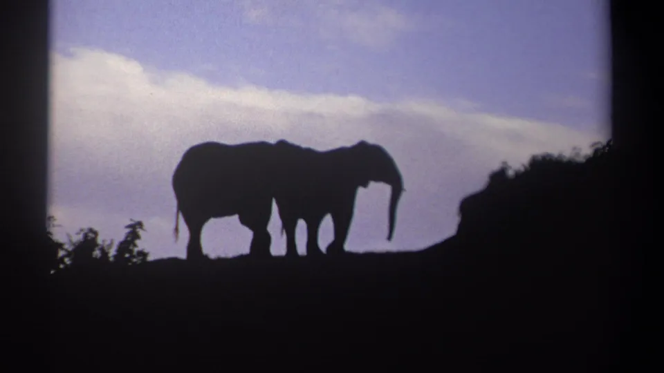 1969 Kenya 8mm frame showing two elephants silhouetted on a ridge against a purple-blue evening sky.