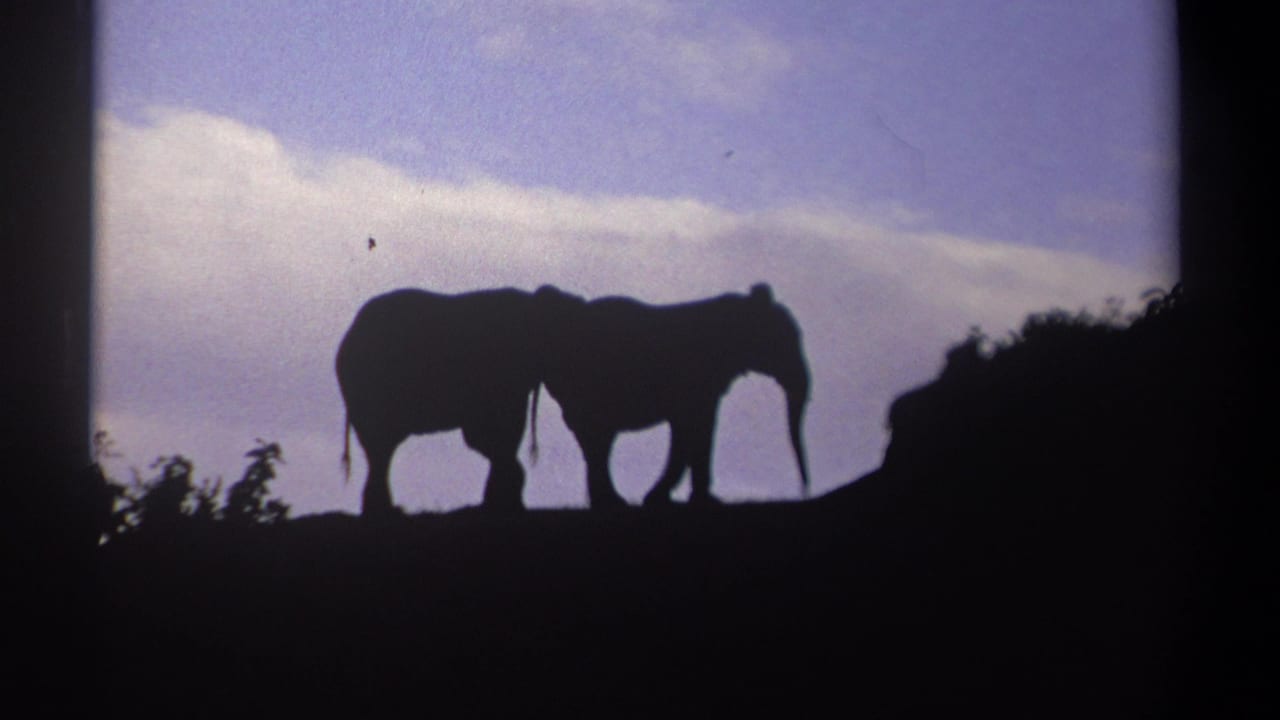Two elephant silhouettes walking along a dark ridge under pale clouds.