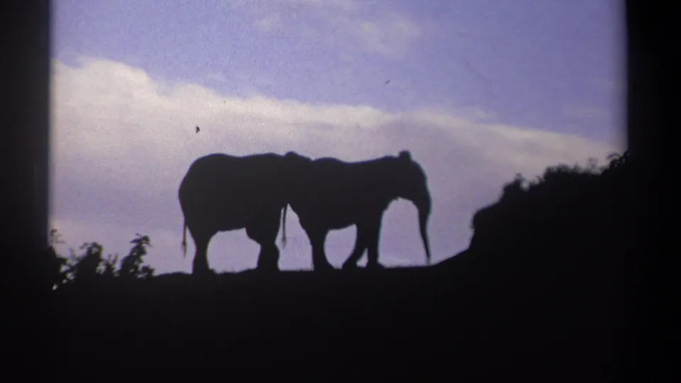 1969 Kenya 8mm frame with two elephants moving along a ridge in silhouette below a soft cloud band.