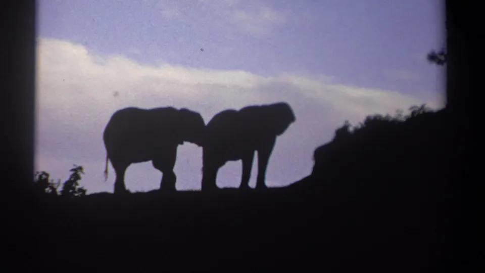 Kenya 1969 8mm frame showing two elephants in silhouette on a hilltop, with one appearing to lean toward the other.