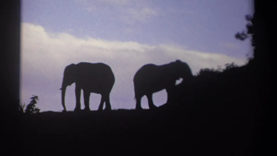 Kenya 1969 8mm frame showing two silhouetted elephants on a ridge, separated by open space under a cloudy dusk sky.
