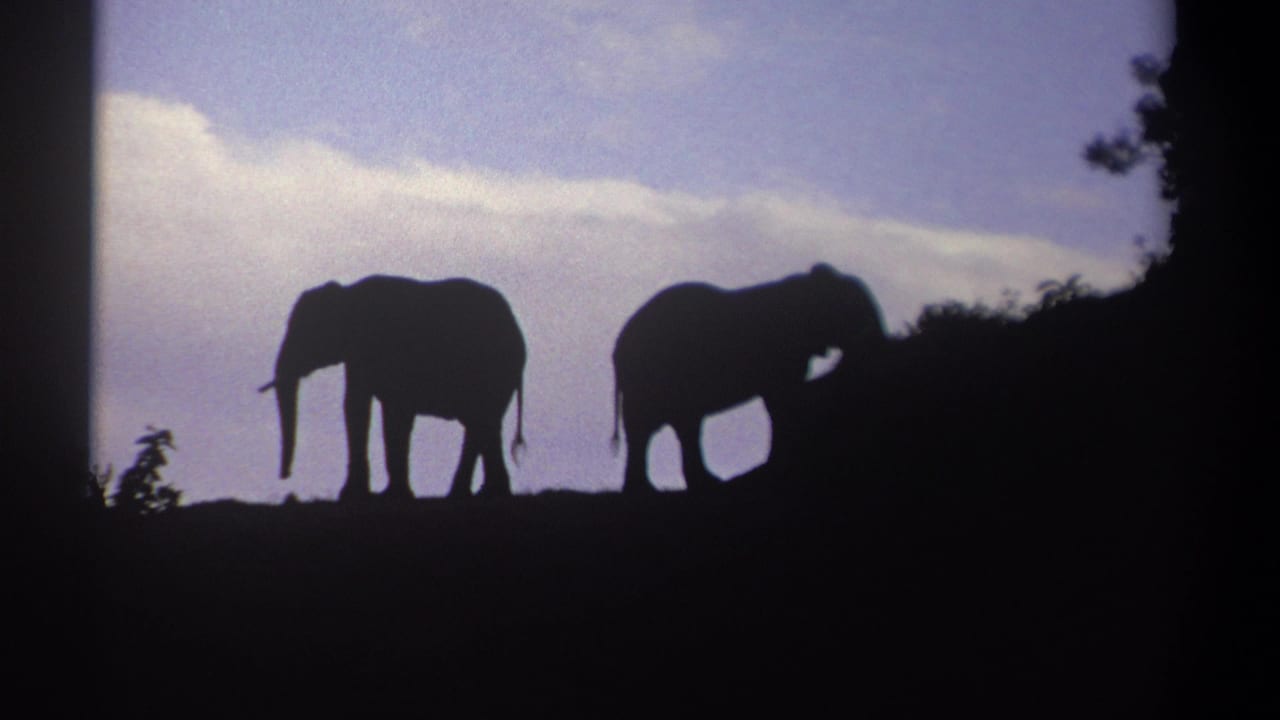 Two elephants remain silhouetted against a blue and clouded sky in the 1969 Kenya safari footage, with the right side partly framed by dark vegetation.